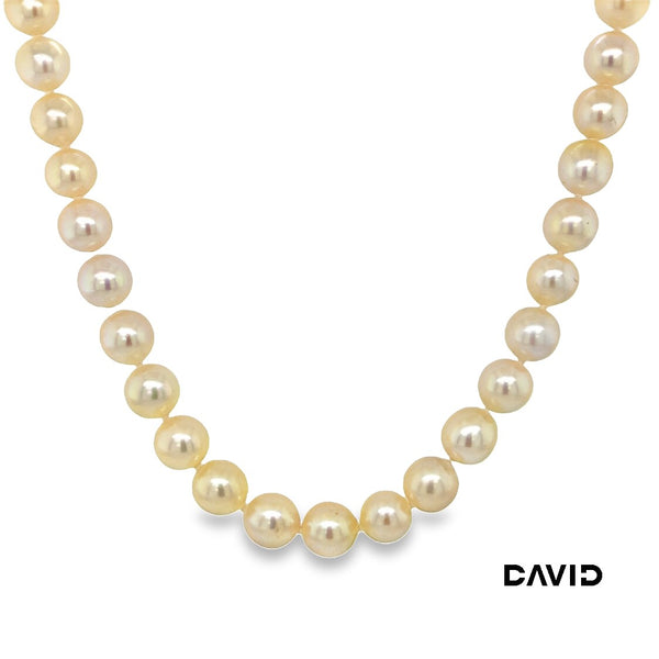 Perlenkette 50cm Brillant & Perle Gold 18k