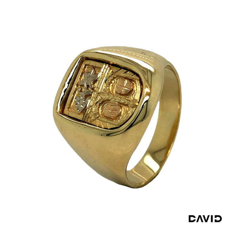 Ring Gold 14k