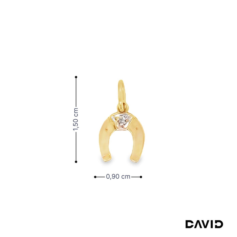 Anhänger Hufeisen Diamant Gold 14k Bicolor