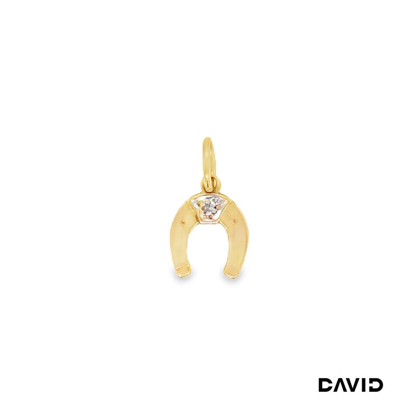 Anhänger Hufeisen Diamant Gold 14k Bicolor