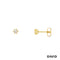 Ohrstecker Brillanten Gold 585/14k