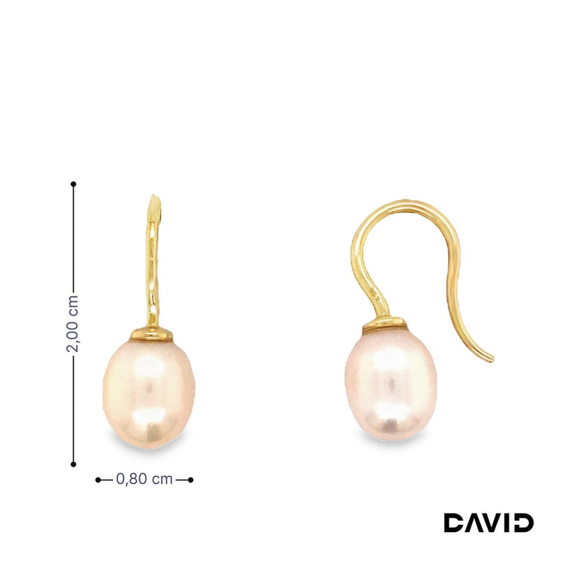 Ohrhänger mit Perle Süßwasser-Zuchtperle Gold 585/14k
