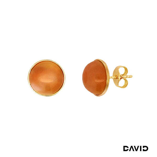 Ohrstecker Carneol Gold 9k