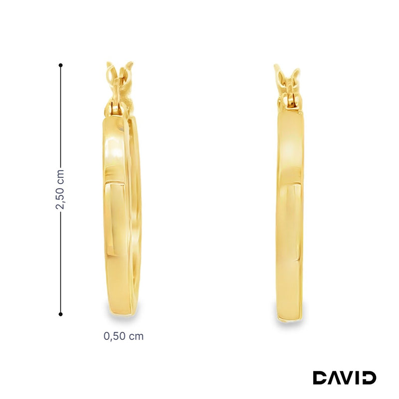 Creolen Gold 585/14k