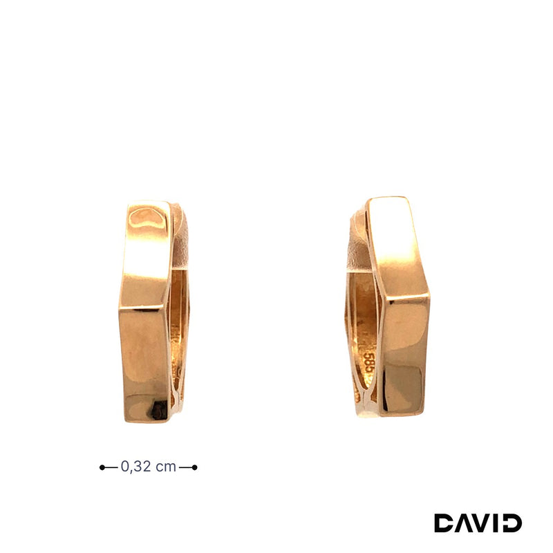 Creolen Gold 585/14k