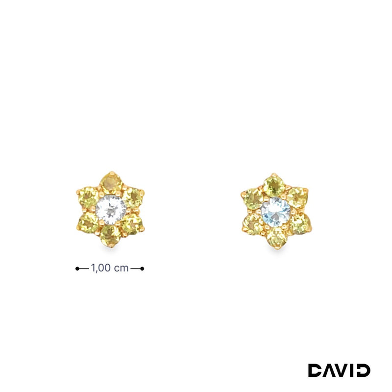 Ohrstecker Peridot/Blautopas Gold 9k