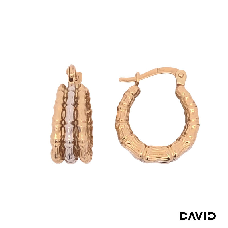 Creolen Gold 14k Bicolor