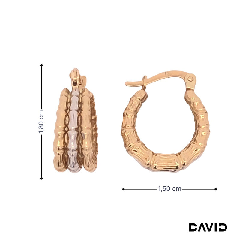 Creolen Gold 14k Bicolor