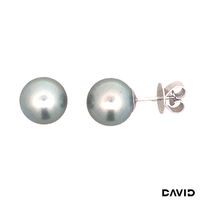 Ohrstecker Tahiti Perle 585/14k Weißgold